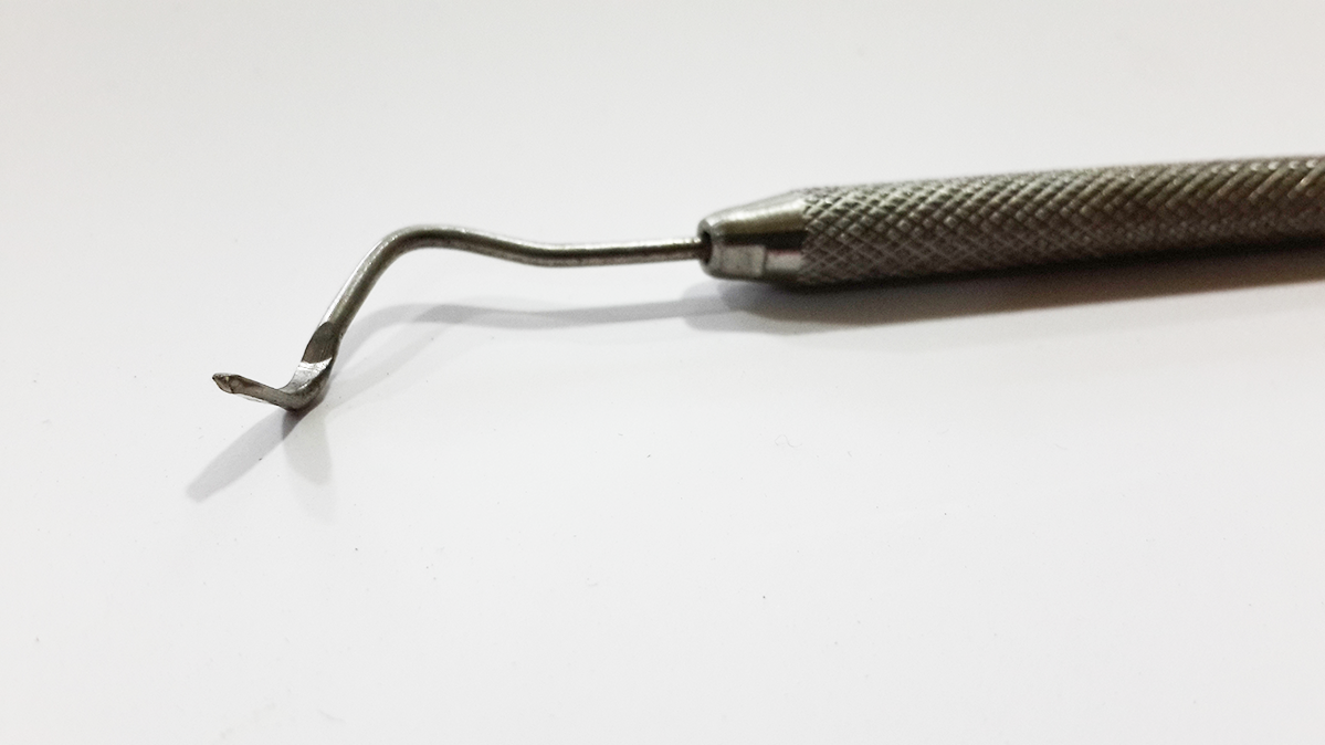 Larva Transfer Kaşığı (Yeni)