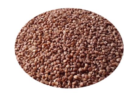 Karabuğday Tohumu - 500 gr