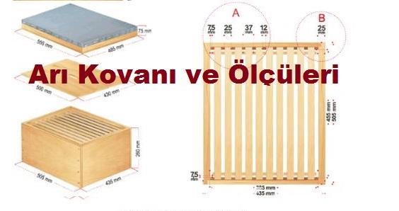 ARI KOVANI - 8 ÇITALI BOYALI KOVAN