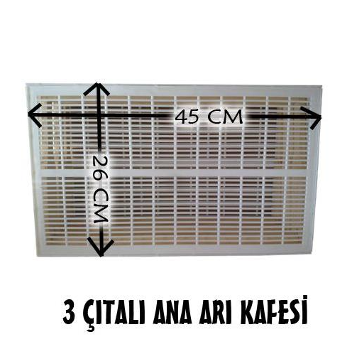 3 ÇITALI ANA ARI HAPSETME